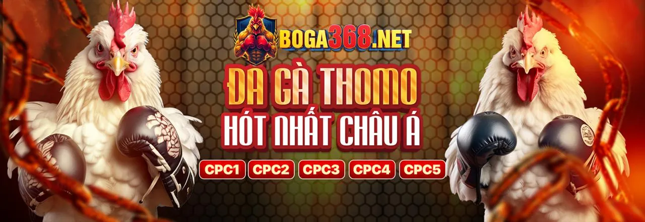 Hình ảnh minh họa tổng quan về các quy tắc chơi game tại Banca29, thể hiện sự minh bạch và công bằng